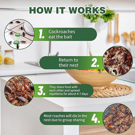 Natural Roach Control Bait Stations (12 Pieces) | Plant-Based, Safe & Long-Lasting