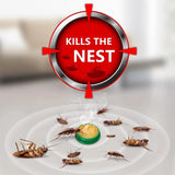 Natural Roach Control Bait Stations (12 Pieces) | Plant-Based, Safe & Long-Lasting